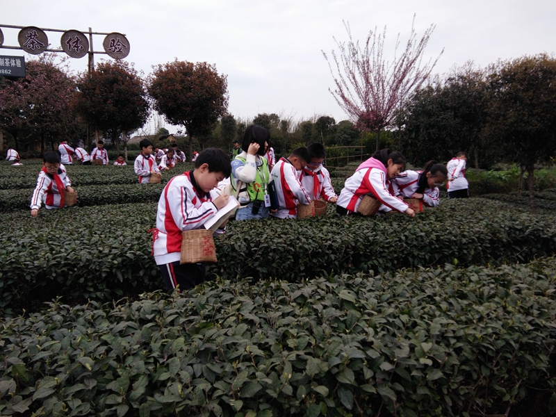QQ图片20190315100655.jpg