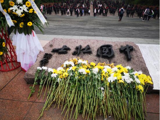 QQ图片20190403153642.jpg